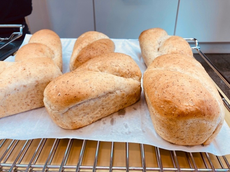 2025/2/8開催 グラハムパン