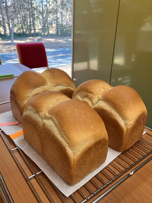 2026/2/3開催 食パン🍞